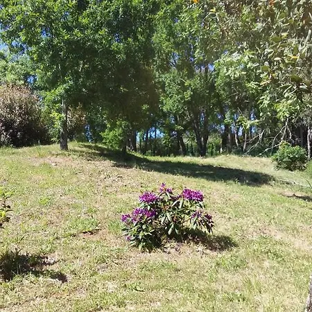 דירה Agua Azul Poolside Rest A Luxurious Rural Woodland Idyll *