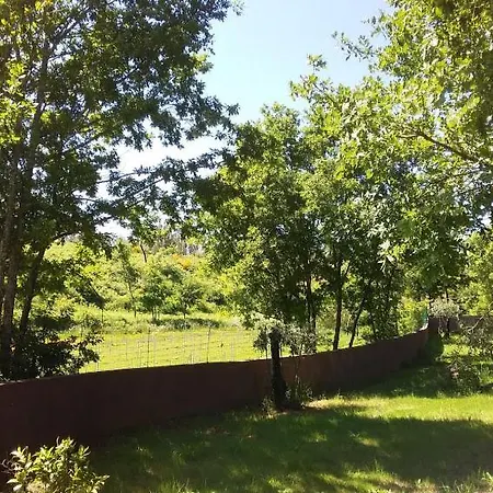 דירה Agua Azul Poolside Rest A Luxurious Rural Woodland Idyll