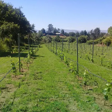 Agua Azul Poolside Rest A Luxurious Rural Woodland Idyll Daire