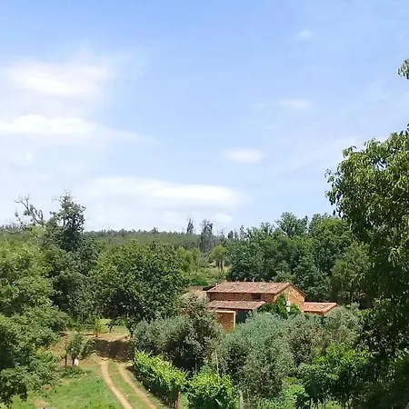 Agua Azul Poolside Rest A Luxurious Rural Woodland Idyll דירה