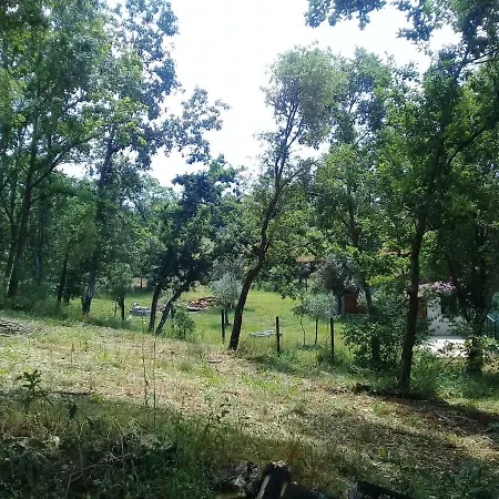 Agua Azul Poolside Rest A Luxurious Rural Woodland Idyll