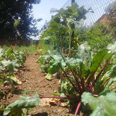 דירה Agua Azul Poolside Rest A Luxurious Rural Woodland Idyll *