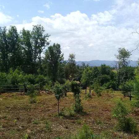 Agua Azul Poolside Rest A Luxurious Rural Woodland Idyll Daire Cabecadas