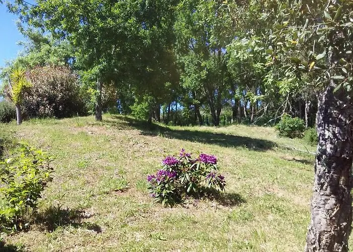 Appartamento Agua Azul Poolside Rest A Luxurious Rural Woodland Idyll *