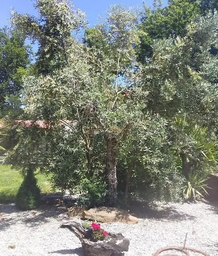 Agua Azul Poolside Rest A Luxurious Rural Woodland Idyll Cabecadas