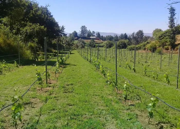 Agua Azul Poolside Rest A Luxurious Rural Woodland Idyll Appartamento