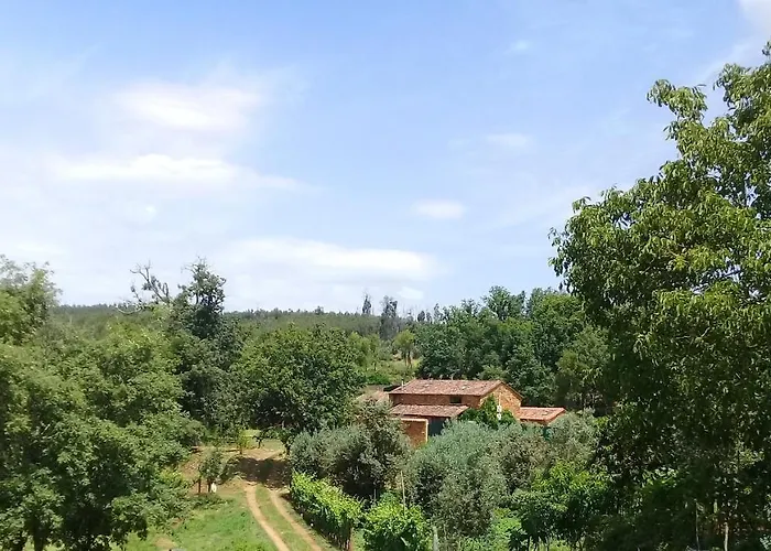 Agua Azul Poolside Rest A Luxurious Rural Woodland Idyll Appartamento