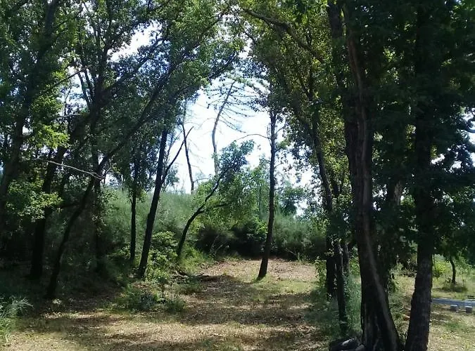 Agua Azul Poolside Rest A Luxurious Rural Woodland Idyll Cabecadas