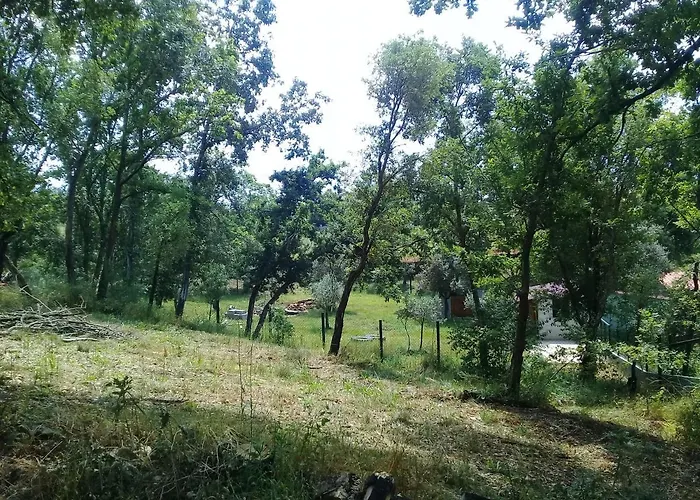 Agua Azul Poolside Rest A Luxurious Rural Woodland Idyll