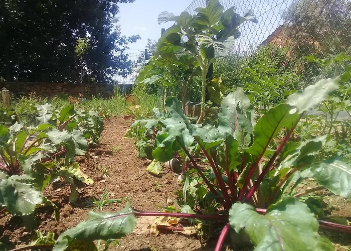 Appartamento Agua Azul Poolside Rest A Luxurious Rural Woodland Idyll *