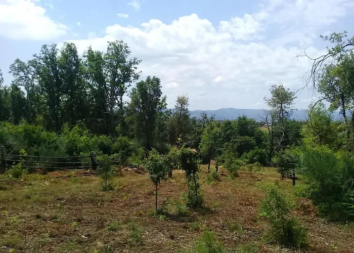 Agua Azul Poolside Rest A Luxurious Rural Woodland Idyll Appartamento Cabecadas