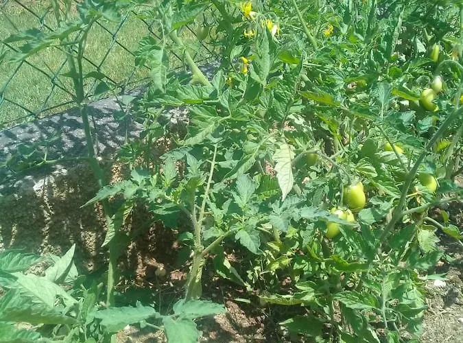 Agua Azul Poolside Rest A Luxurious Rural Woodland Idyll Cabecadas